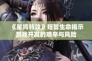 《星鸣特攻》短暂生命揭示游戏开发的艰辛与风险