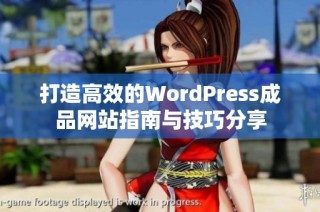 打造高效的WordPress成品网站指南与技巧分享