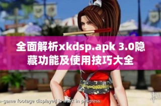 全面解析xkdsp.apk 3.0隐藏功能及使用技巧大全