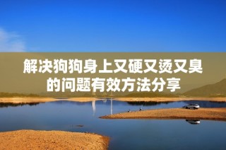 解决狗狗身上又硬又烫又臭的问题有效方法分享