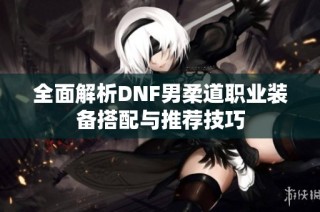 全面解析DNF男柔道职业装备搭配与推荐技巧