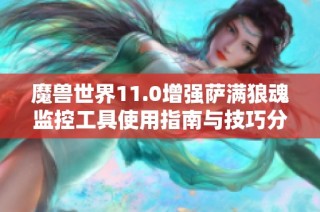 魔兽世界11.0增强萨满狼魂监控工具使用指南与技巧分享