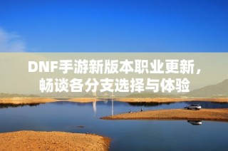 DNF手游新版本职业更新，畅谈各分支选择与体验