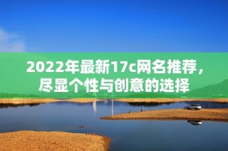 2022年最新17c网名推荐，尽显个性与创意的选择