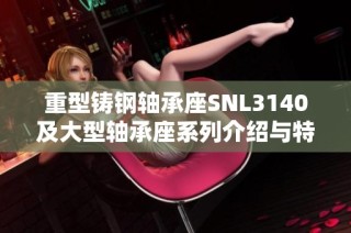 重型铸钢轴承座SNL3140及大型轴承座系列介绍与特点解析