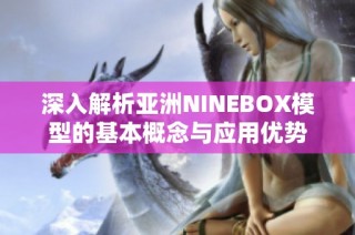 深入解析亚洲NINEBOX模型的基本概念与应用优势