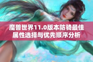 魔兽世界11.0版本防骑最佳属性选择与优先顺序分析