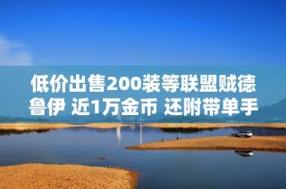 低价出售200装等联盟贼德鲁伊 近1万金币 还附带单手蛋刀月