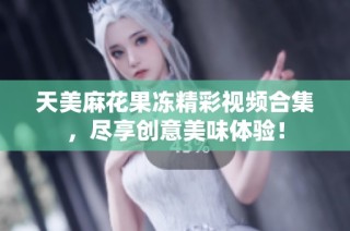 天美麻花果冻精彩视频合集，尽享创意美味体验！