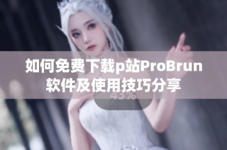 如何免费下载p站ProBrun软件及使用技巧分享