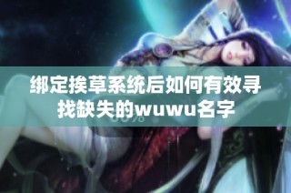 绑定挨草系统后如何有效寻找缺失的wuwu名字