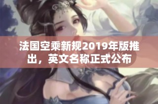 法国空乘新规2019年版推出，英文名称正式公布