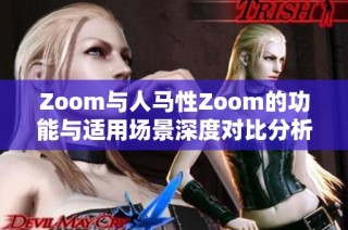 Zoom与人马性Zoom的功能与适用场景深度对比分析