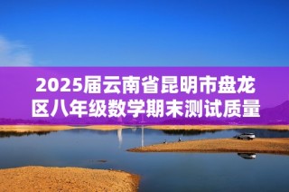 2025届云南省昆明市盘龙区八年级数学期末测试质量分析与总结