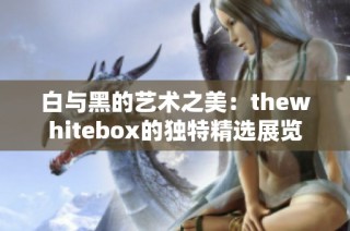 白与黑的艺术之美：thewhitebox的独特精选展览