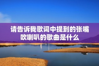 请告诉我歌词中提到的张嘴吹喇叭的歌曲是什么