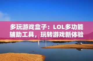 多玩游戏盒子：LOL多功能辅助工具，玩转游戏新体验