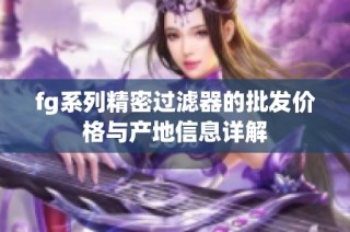 fg系列精密过滤器的批发价格与产地信息详解