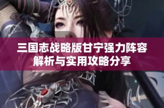 三国志战略版甘宁强力阵容解析与实用攻略分享