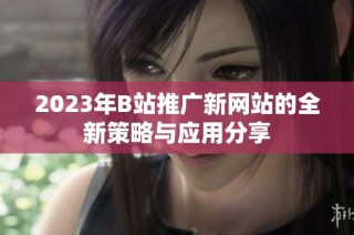 2023年B站推广新网站的全新策略与应用分享