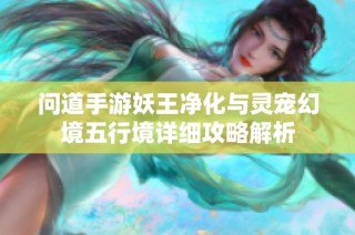 问道手游妖王净化与灵宠幻境五行境详细攻略解析