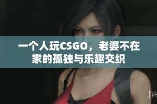 一个人玩CSGO，老婆不在家的孤独与乐趣交织