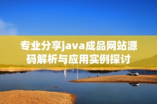 专业分享java成品网站源码解析与应用实例探讨