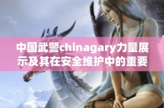 中国武警chinagary力量展示及其在安全维护中的重要角色