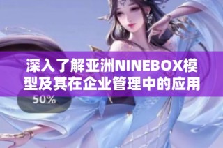 深入了解亚洲NINEBOX模型及其在企业管理中的应用