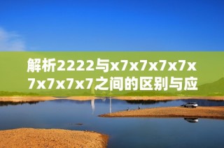 解析2222与x7x7x7x7x7x7x7x7之间的区别与应用探讨