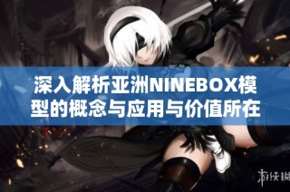 深入解析亚洲NINEBOX模型的概念与应用与价值所在