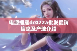 电源插座dc022a批发促销信息及产地介绍