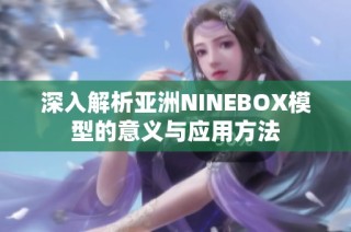 深入解析亚洲NINEBOX模型的意义与应用方法