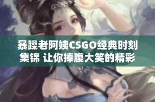 暴躁老阿姨CSGO经典时刻集锦 让你捧腹大笑的精彩片段