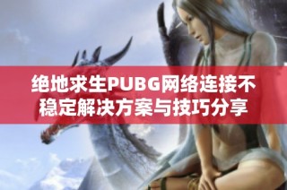 绝地求生PUBG网络连接不稳定解决方案与技巧分享