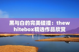 黑与白的完美碰撞：thewhitebox精选作品欣赏