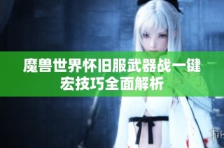 魔兽世界怀旧服武器战一键宏技巧全面解析