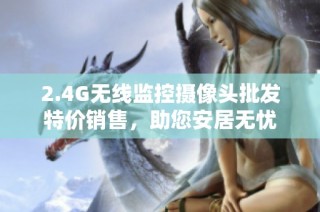 2.4G无线监控摄像头批发特价销售，助您安居无忧