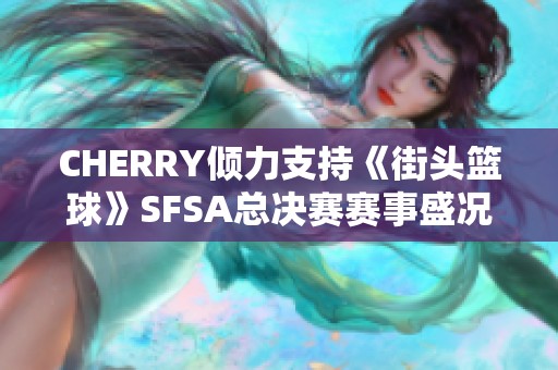 CHERRY倾力支持《街头篮球》SFSA总决赛赛事盛况全程回顾