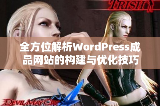 全方位解析WordPress成品网站的构建与优化技巧