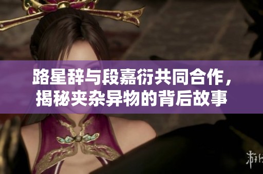 路星辞与段嘉衍共同合作，揭秘夹杂异物的背后故事