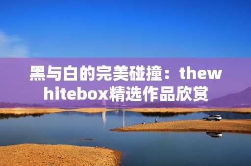 黑与白的完美碰撞：thewhitebox精选作品欣赏