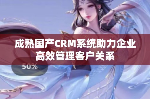 成熟国产CRM系统助力企业高效管理客户关系