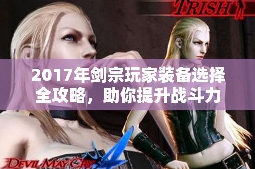 2017年剑宗玩家装备选择全攻略，助你提升战斗力