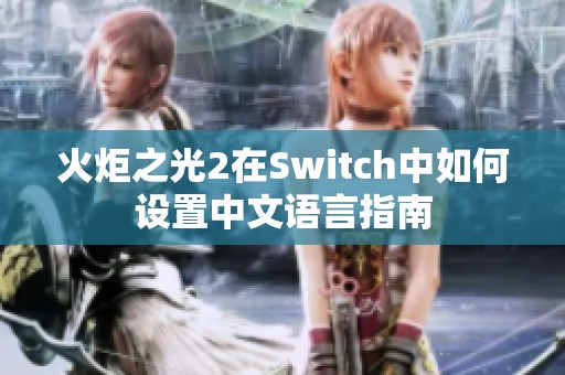 火炬之光2在Switch中如何设置中文语言指南