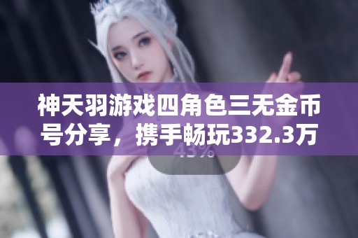 神天羽游戏四角色三无金币号分享，携手畅玩332.3万金币攻略