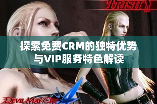 探索免费CRM的独特优势与VIP服务特色解读