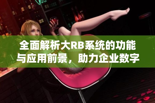 全面解析大RB系统的功能与应用前景，助力企业数字化转型