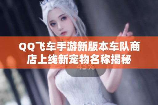 QQ飞车手游新版本车队商店上线新宠物名称揭秘