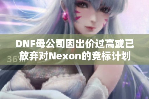 DNF母公司因出价过高或已放弃对Nexon的竞标计划